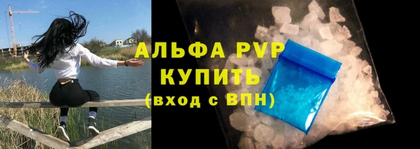 a pvp Аркадак
