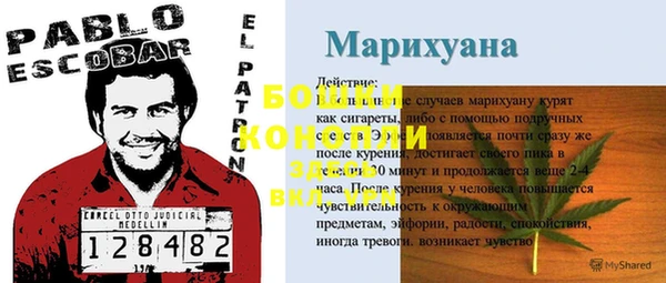 a pvp Аркадак