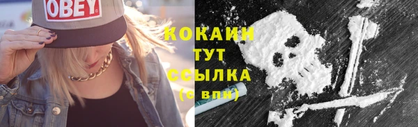 a pvp Аркадак