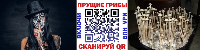 купить   blacksprut ONION  Псилоцибиновые грибы прущие грибы  Ростов 